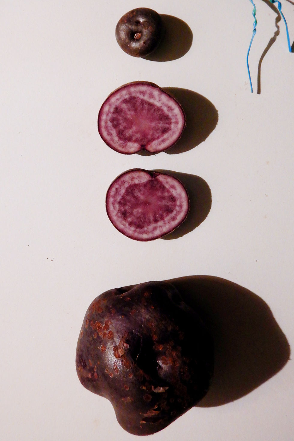 colorful patatoe
