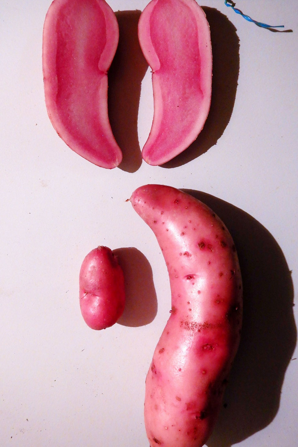 colorful patatoe