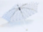 JAS844A