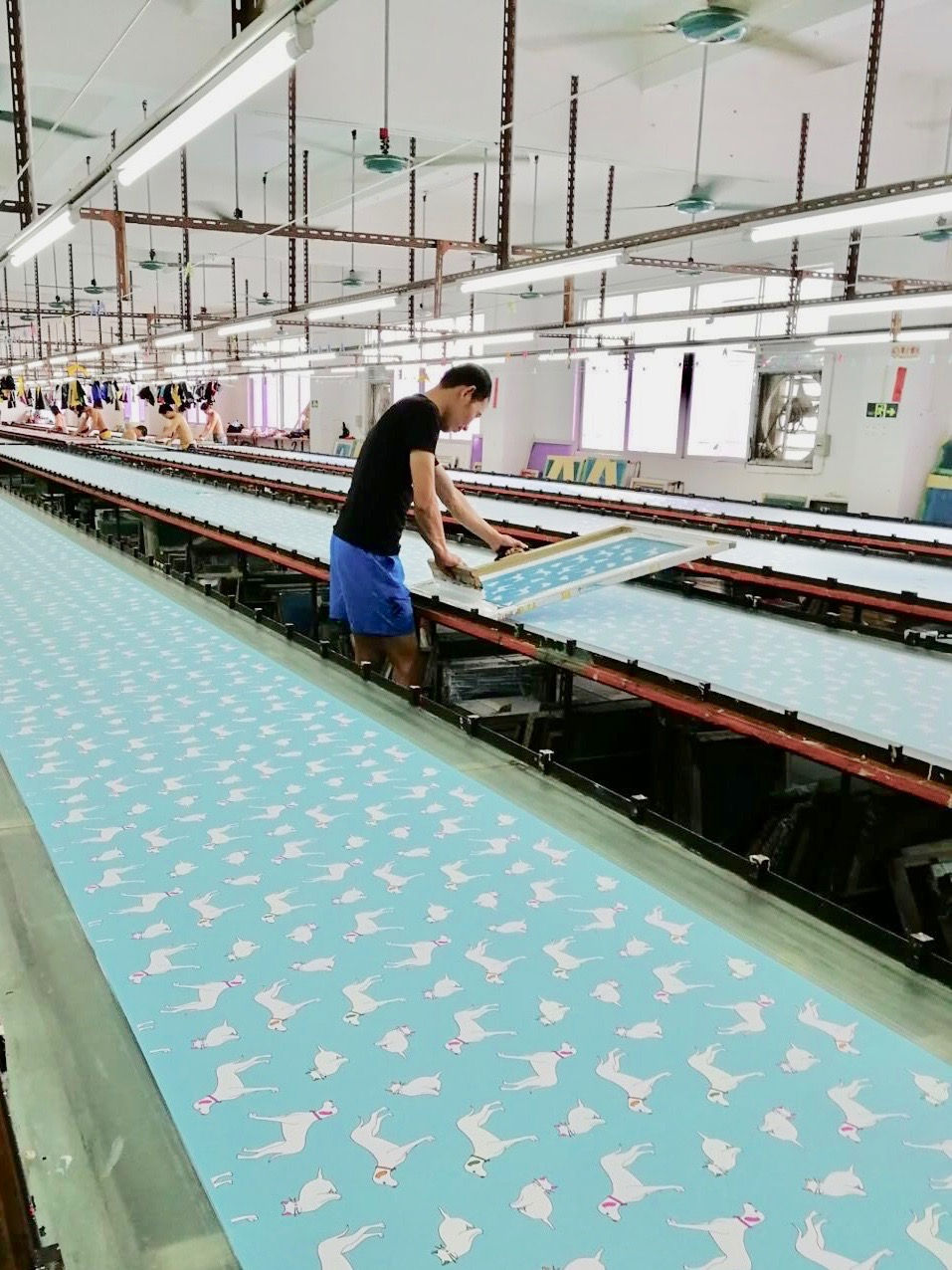 Star Rain Umbrella Factory