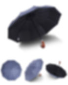 JAS1201-