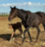 440906083_10229813831988275_689582945858336235_n