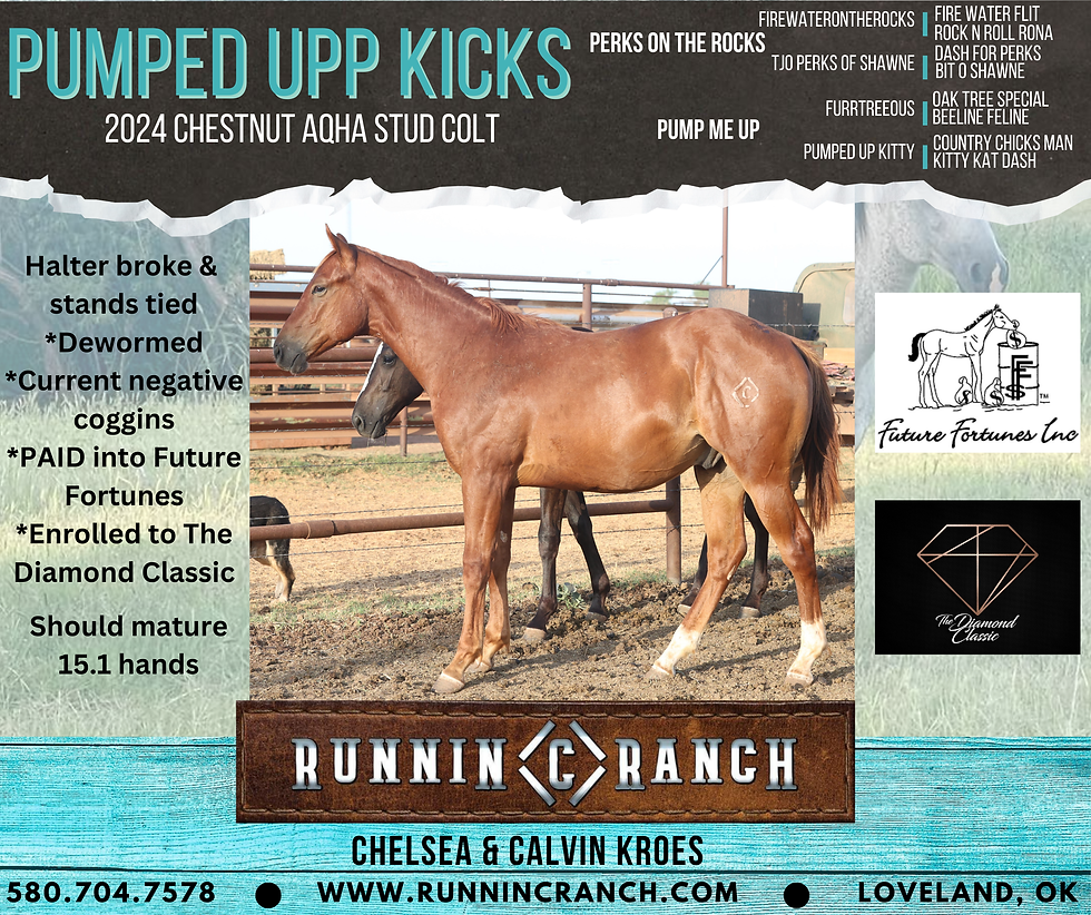 Pumped Upp Kicks (3)