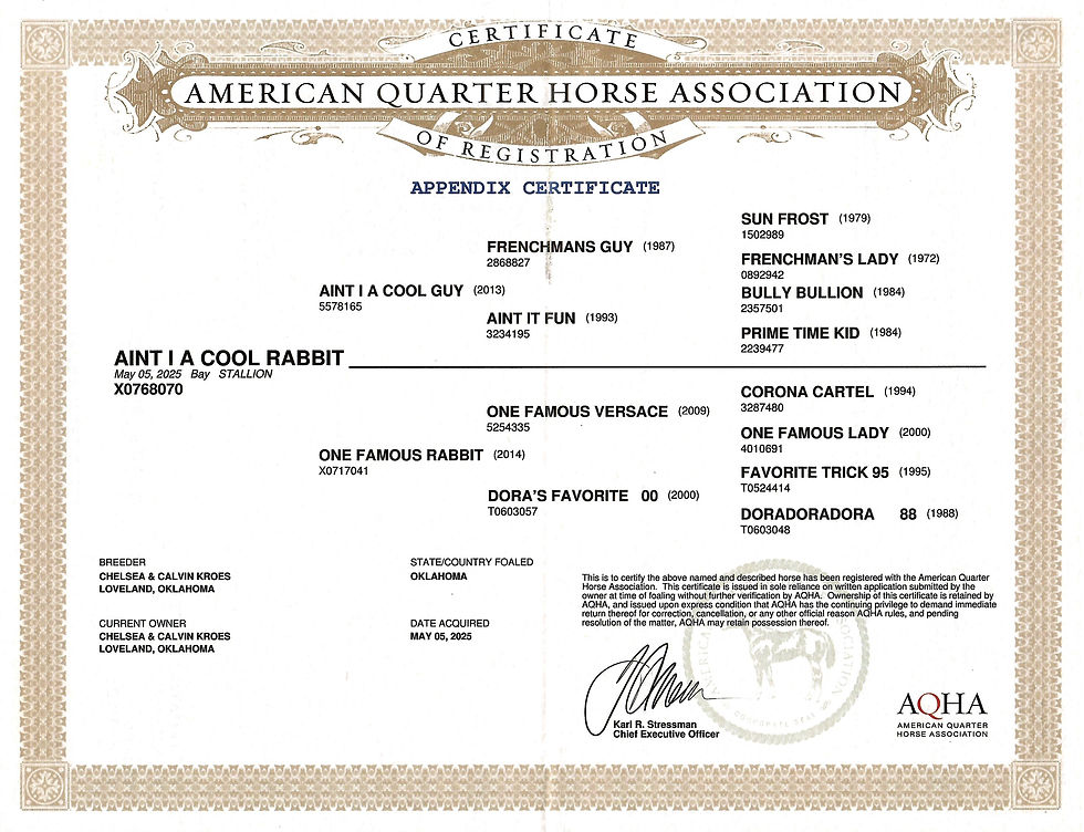 Aint I A Cool Rabbit