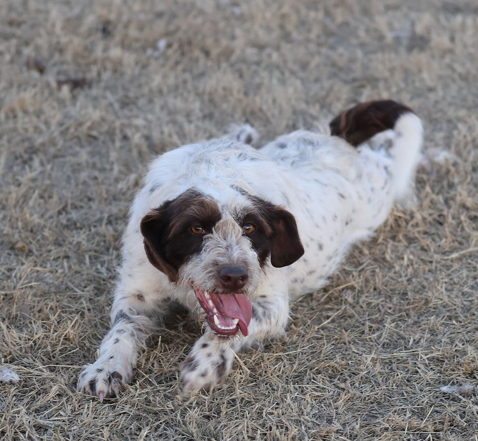 605608105_1484546630341224_5078367887193038509_n