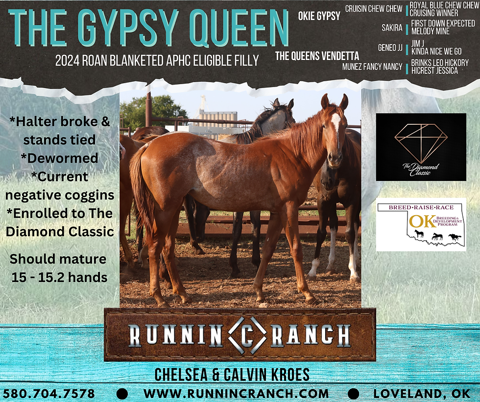 The Gypsy Queen (1)