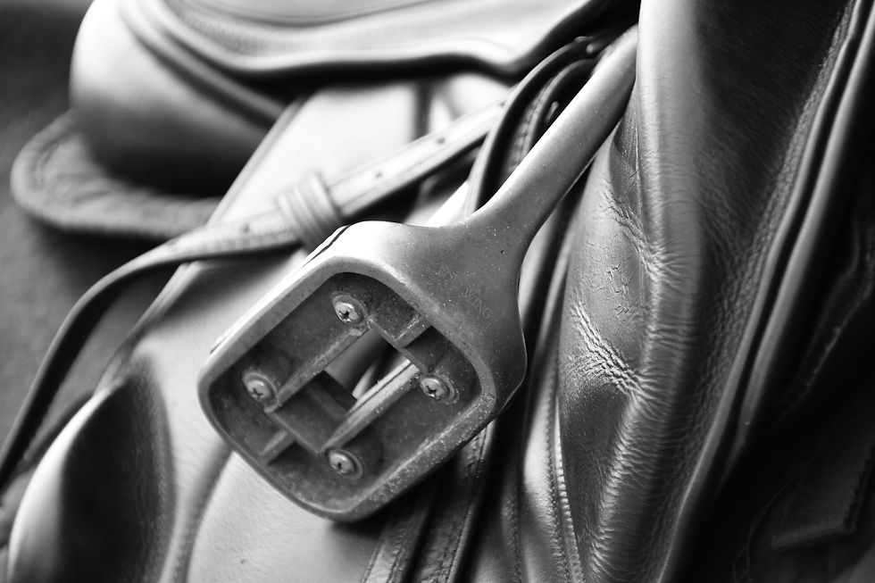 saddle