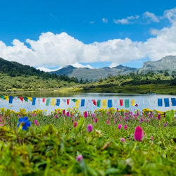 Spring is here, painting Tawang in vibrant hues! 🌸❄️ The valleys bloom, the rivers roar, 
