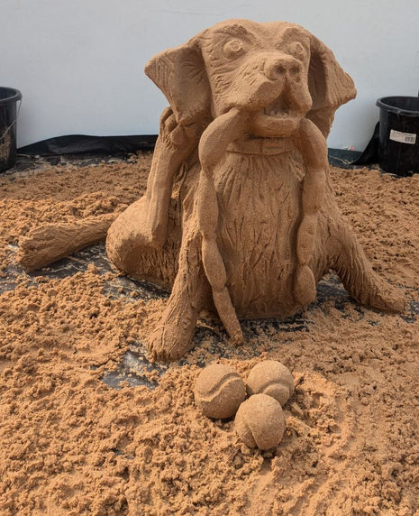 The dog who stole the sausages at Loughborough-by-the-Sea in August 2024.