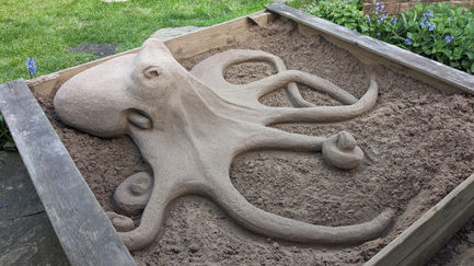 Octopus unfurled in an urban sandpit.