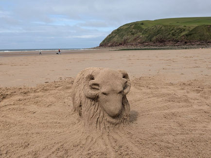 A Cumbrian ram sculpted in sand to celebrate a visit to St Bees beach