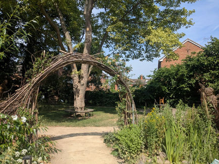 Trees, flowers and natural arches in a wildlife garden.