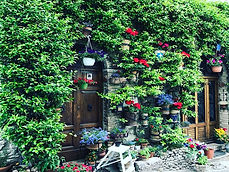 <img src “Italian wall garden in Assisi.jpg” alt=”Beautiful wall and doorway of a house in Assisi Italy featuring flower pots and greenery”/ >
