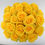 Thumbnail: YELLOW Roses Assorted