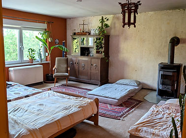 PXL_20250523_162315908_edited.jpg