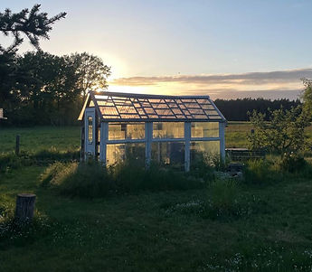 Greenhouse_edited.jpg