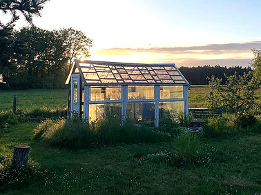 Greenhouse_edited_edited.jpg