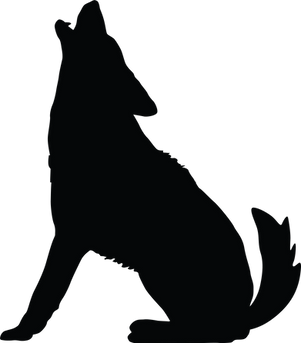 SC1834 COYOTE.png