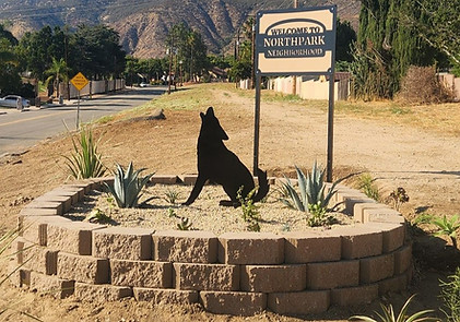 coyoteNorthpark.jpg
