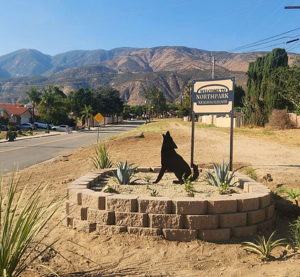 coyoteNorthpark.jpg