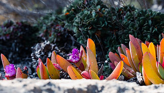 Lincoln National Park