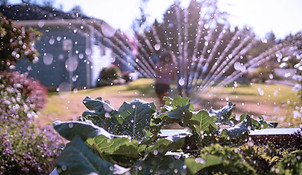 Sprinkler with cool filter .jpg