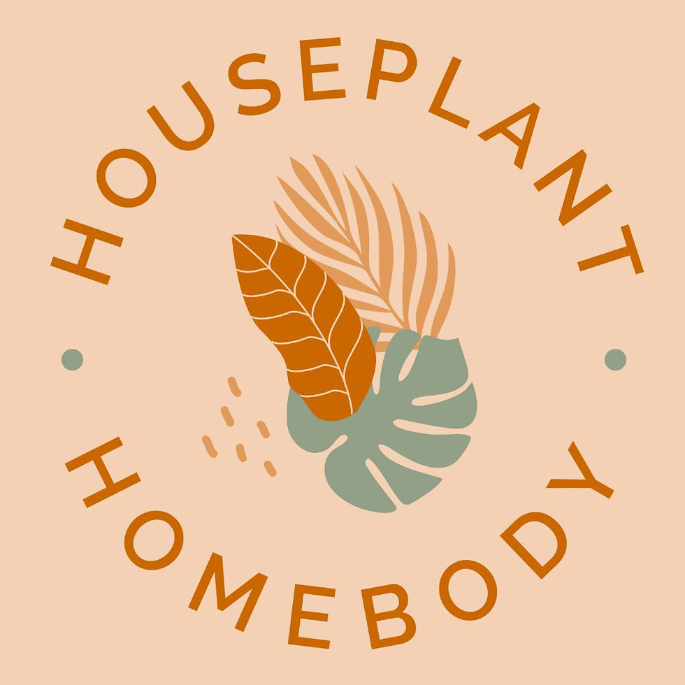 Thumbnail: Houseplant Homebody T-Shirt- Sand