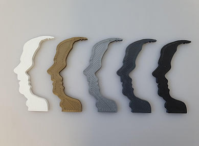 Kleurstaaltjes silhouet.jpg
