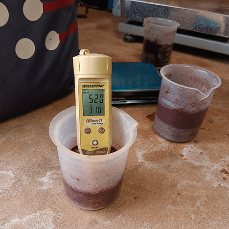 6.Electrical Conductivity (EC) Testing.png