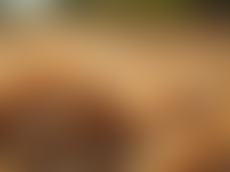 The Process of Turning Coconut Coir into Useful Products