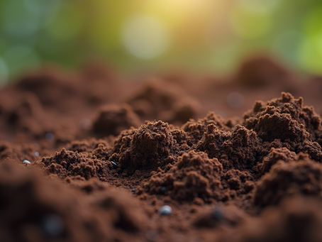 Buy Coco Peat: Your Guide to High-Quality Coco Peat for Sale