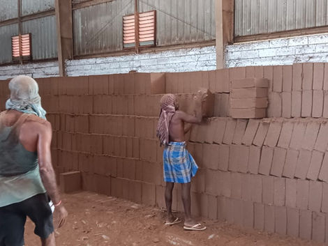 Workers stacking coco peat bricks