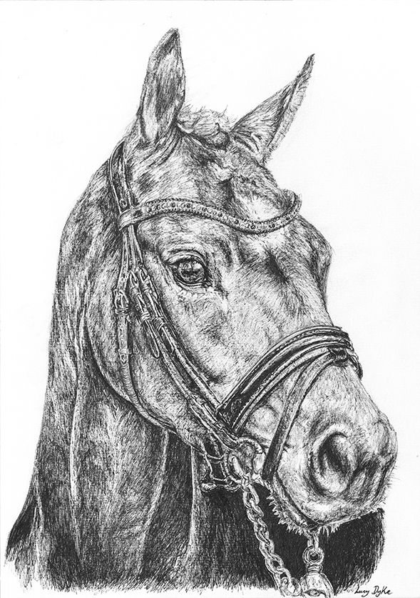 Thumbnail: "Merlin" - Limited Edition Print