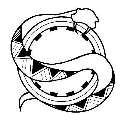 304882065_482012787271646_8149459031374657263_n.png