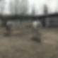 Pasture.jpg