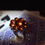 Thumbnail: Flower Amber Ring