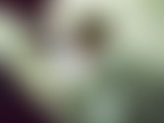 150 "Unprecedented" David Hockney Artworks Unveiled at Halcyon