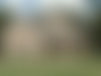 Sectores sensibles al aumento de tasas mantienen estancamiento