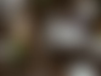 Fuerte desaceleración de servicios en junio