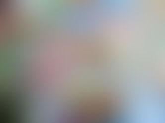 Tropieza consumo, inversión viento en popa