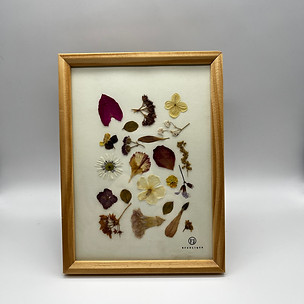 Cadre herbier