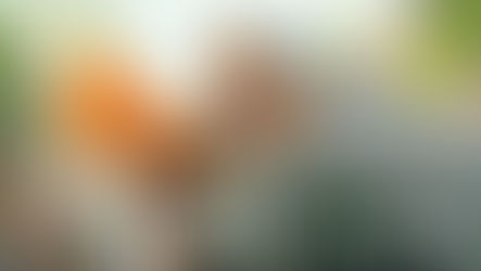 5分鐘英文口語| “make waves” 引起轟動 (3)