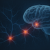 cerebro desarrollando neuronas nuevas