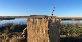 IMG_E7345.JPG