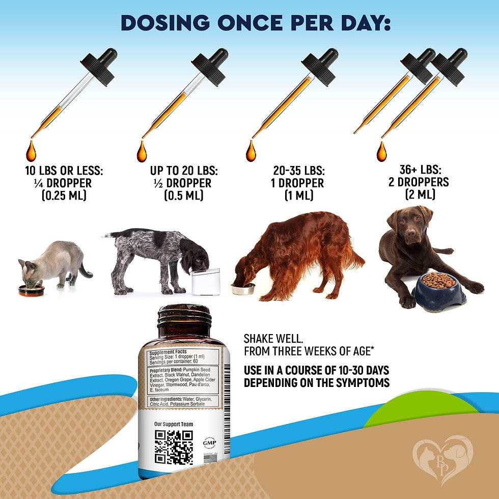 Thumbnail: Cats Dogs Natural Worm Treatment with Probiotic Liquid Herbal Medicine Daily Use