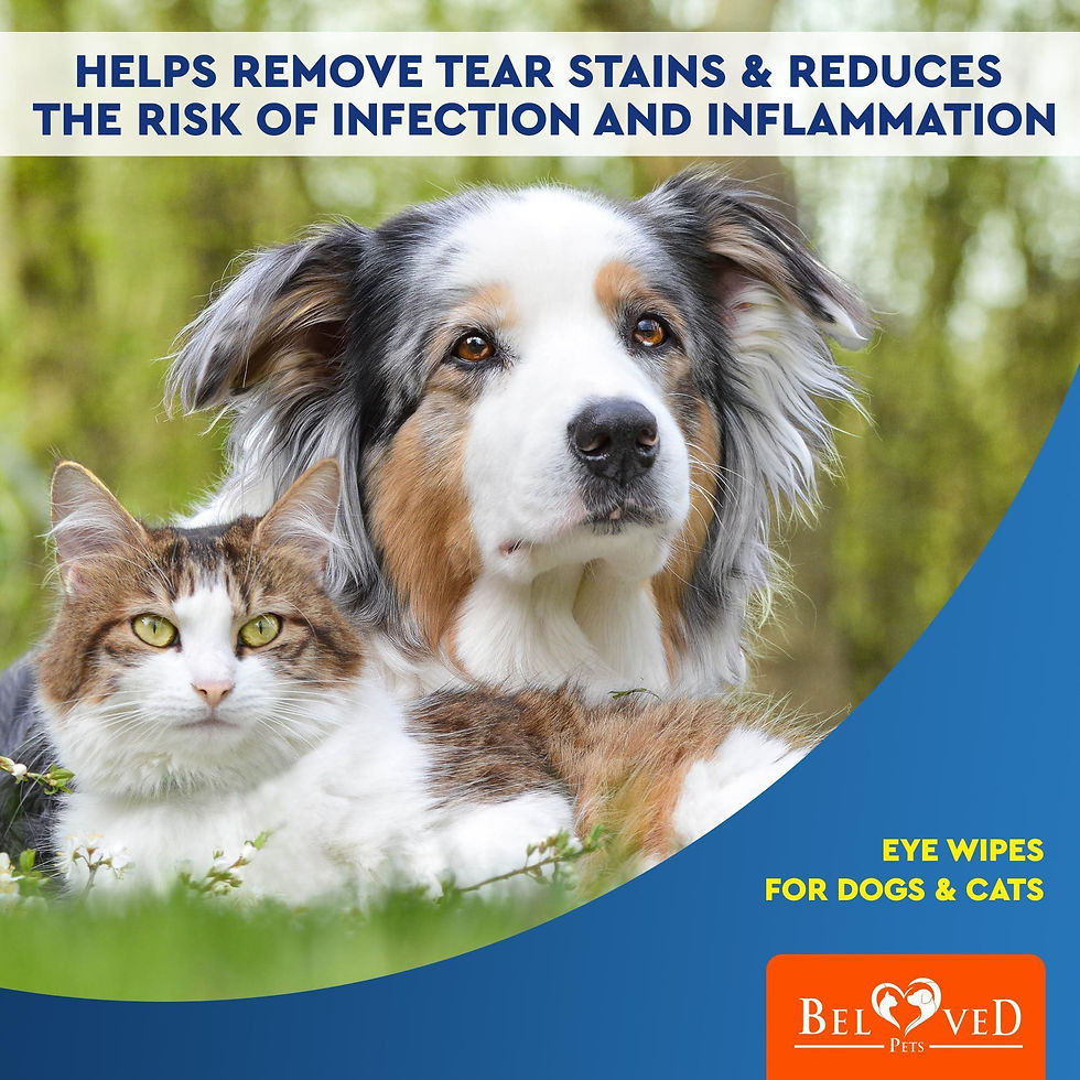 Thumbnail: Cat Dog Eye Wash Wipes Tear Stain Remover Cleaner Eye Infection Treatment 120Pad