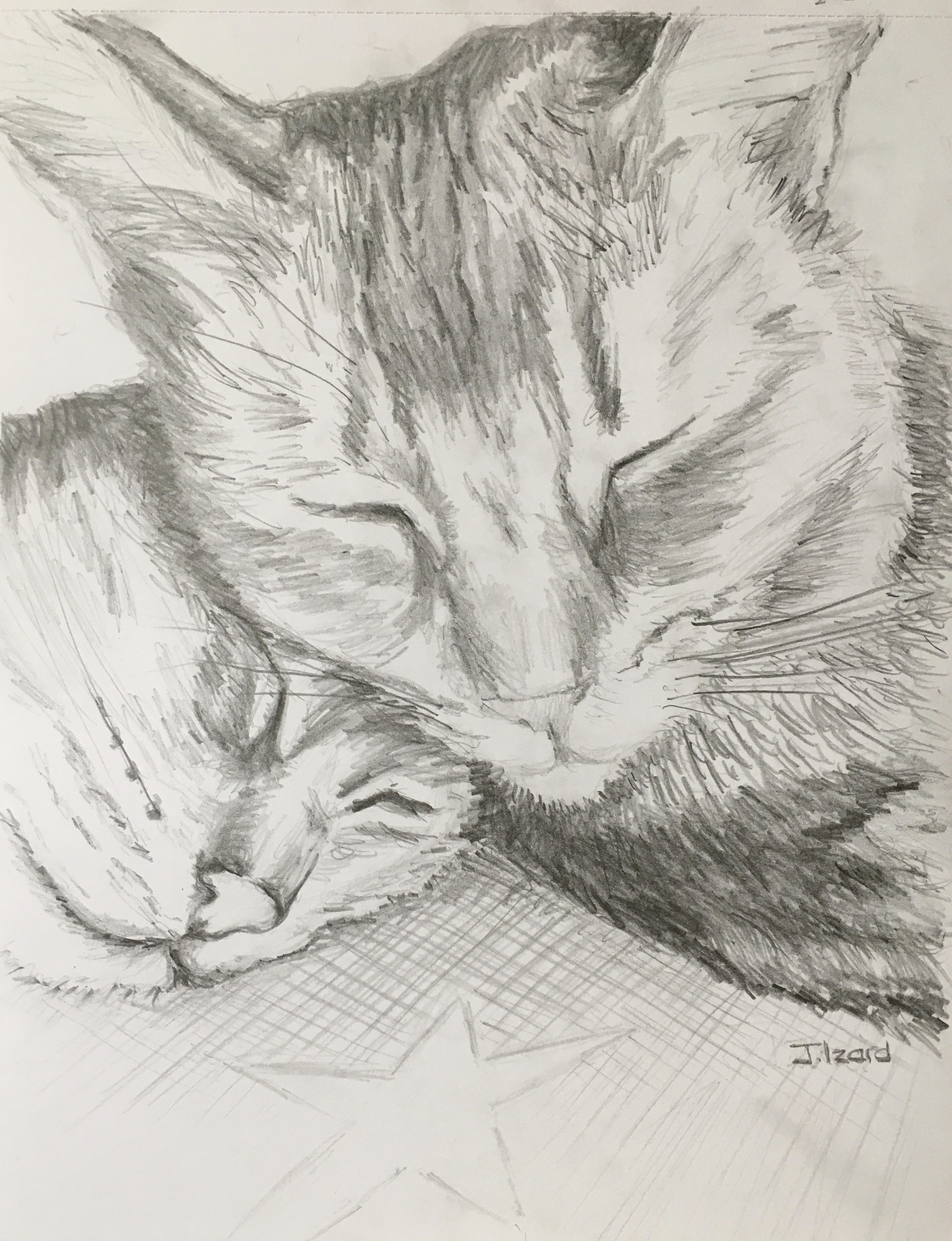 Sleepy Heads