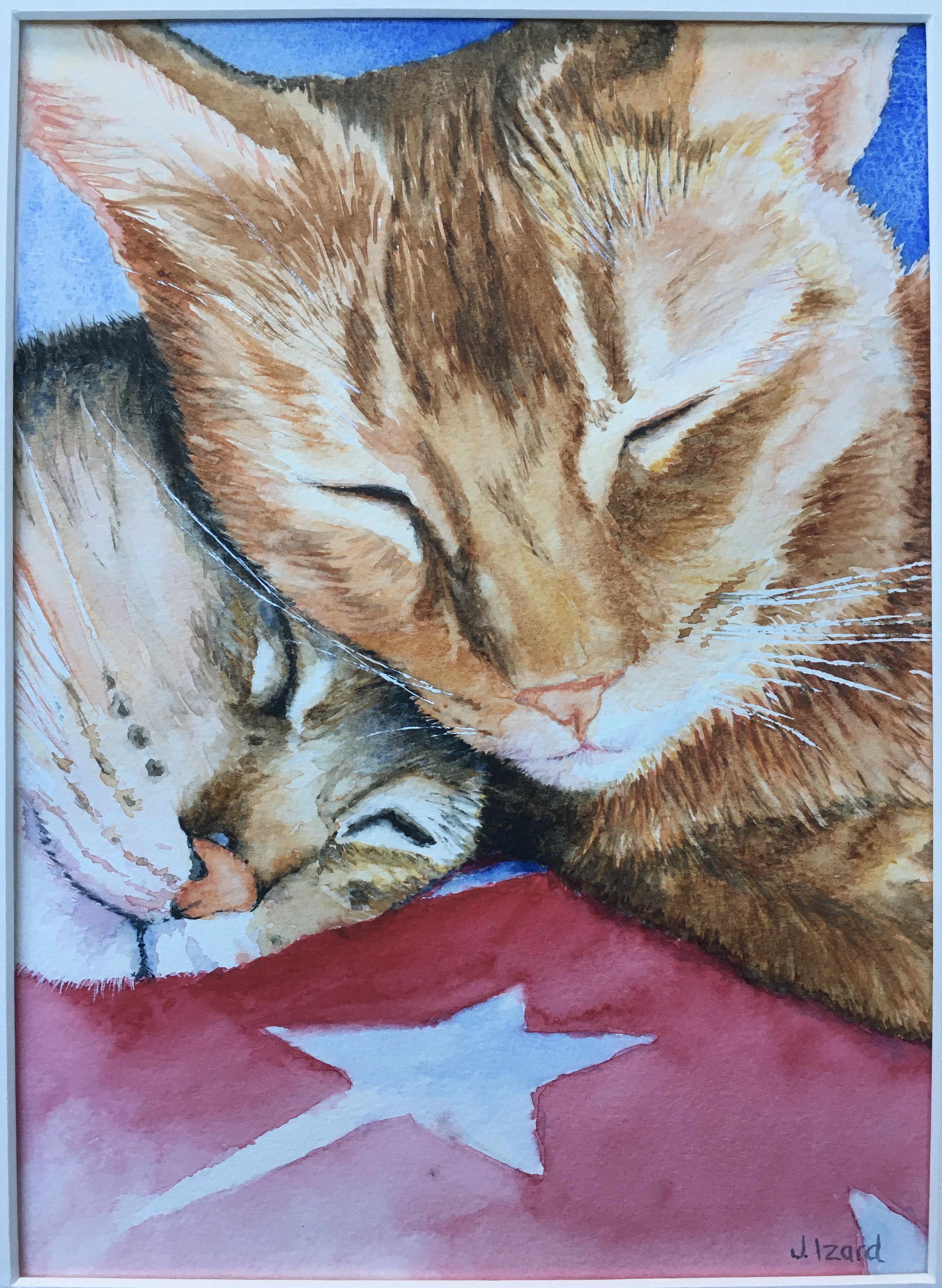 Sleepy Heads