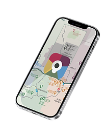 mobile transparent.png