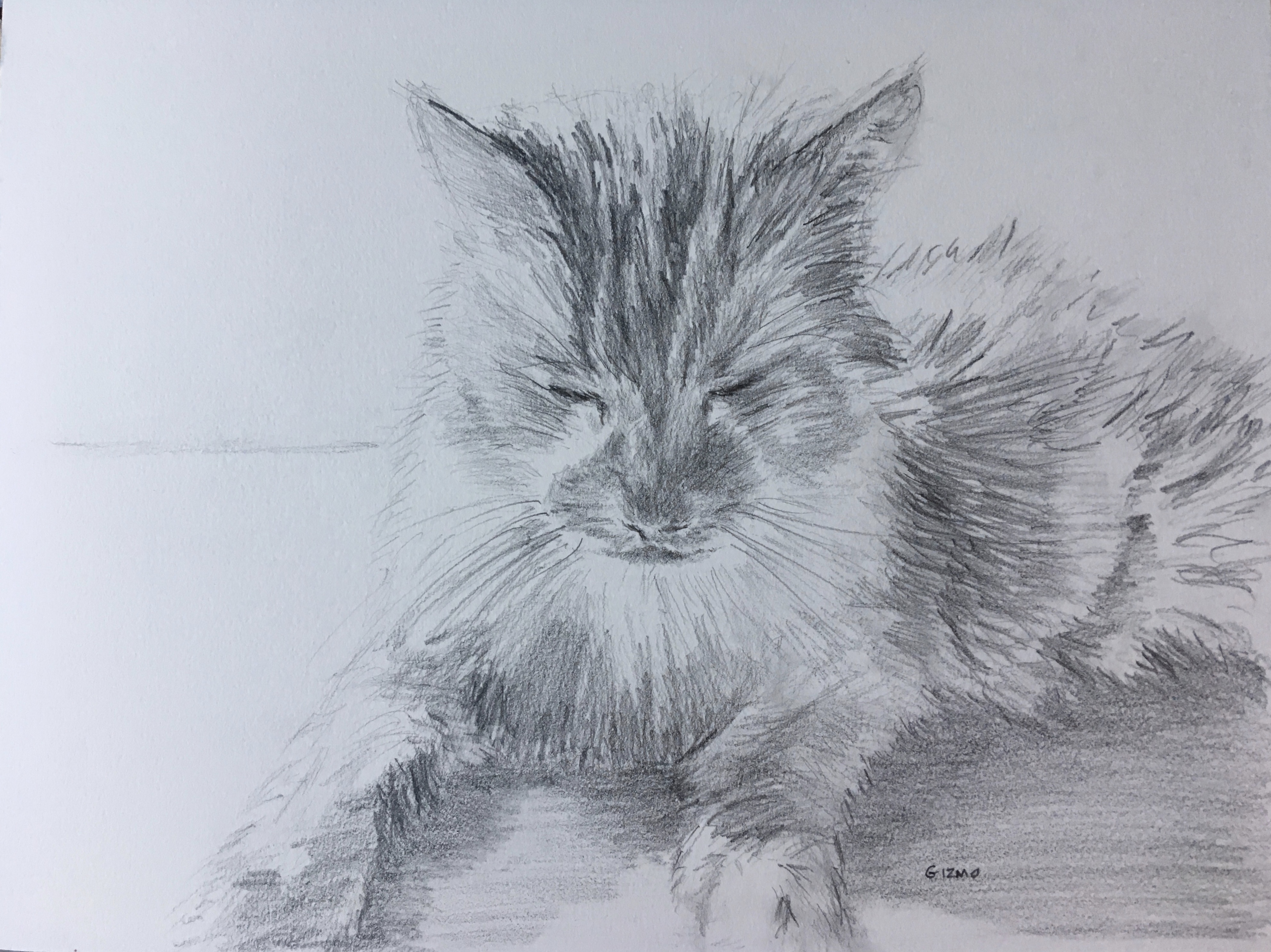 Gizmo